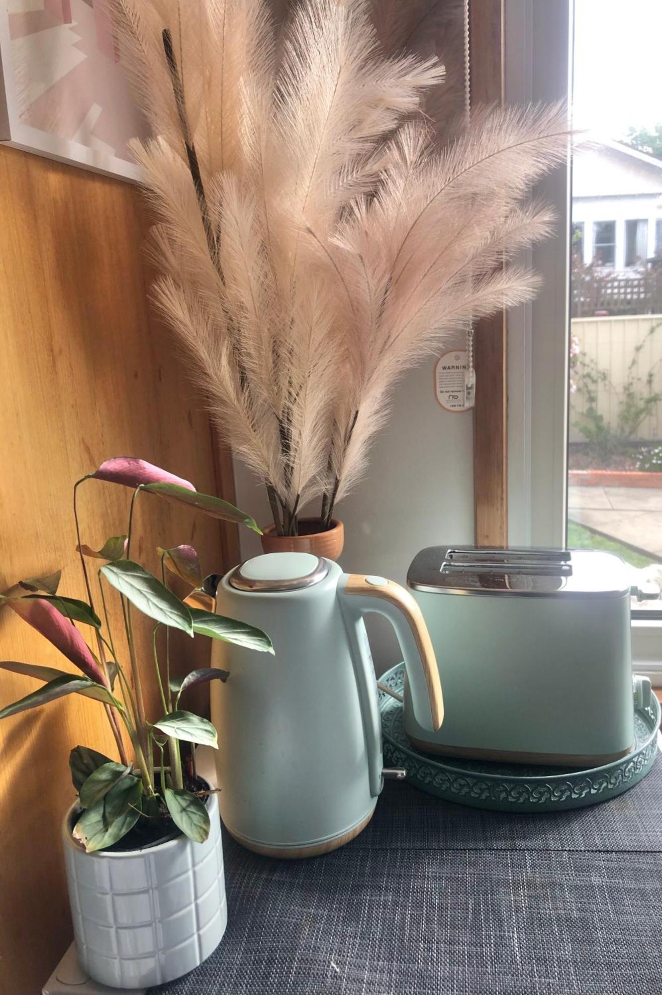 Lovely Budget Vegan Homestay Launceston Bagian luar foto